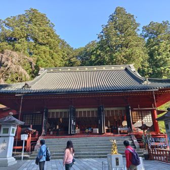 朝も早うから、参拝客は多い。左手奥の方に、さらに社領は広がっている。
予習してないので、今回は御朱印だけ。