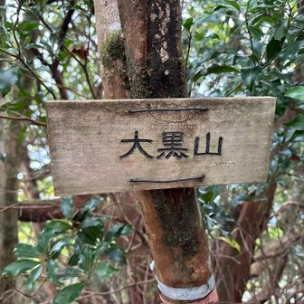 大黒山登頂