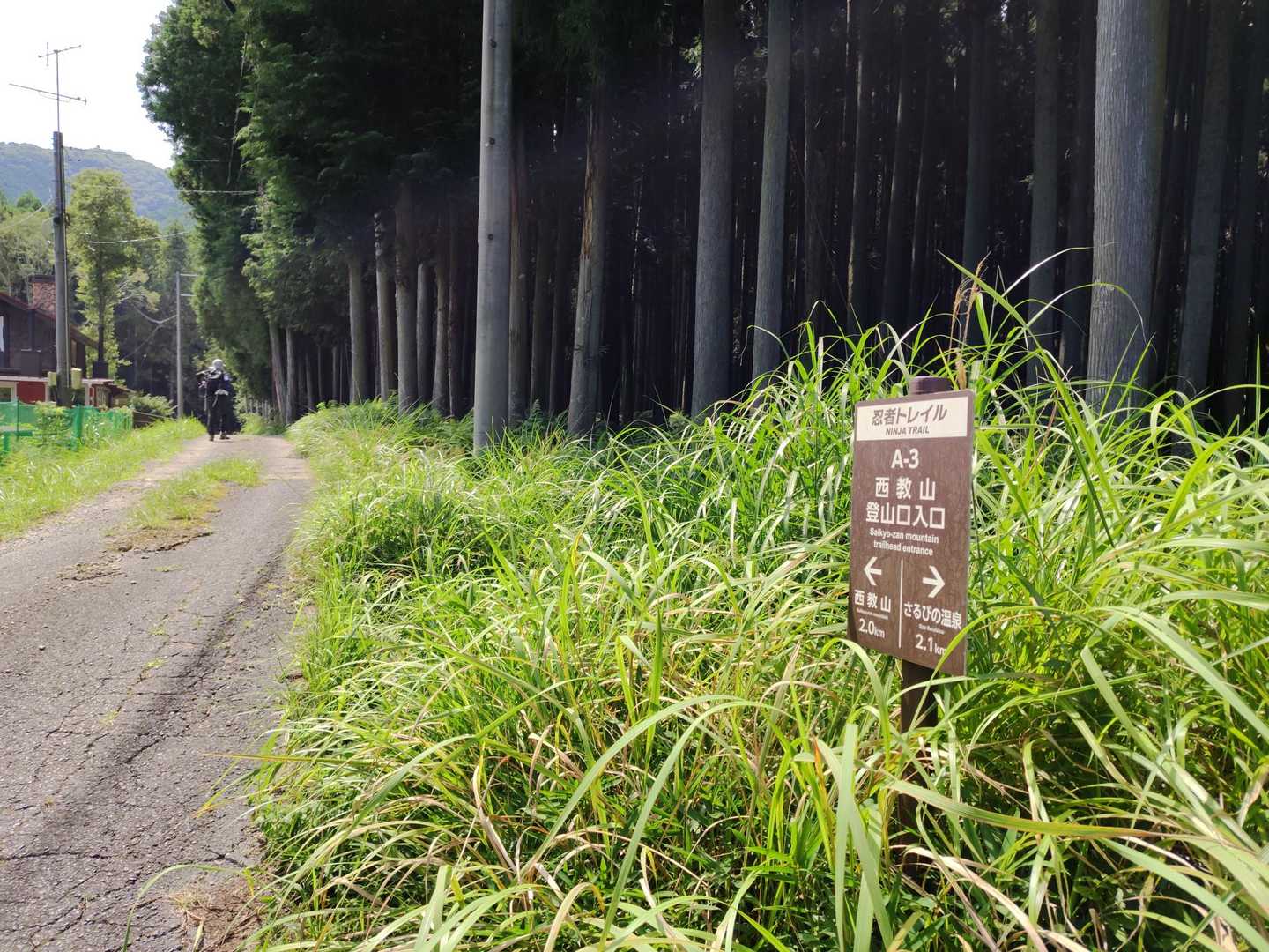 残暑厳しい真っ昼間🥵

痛めた左膝も、坐骨神経痛の右脚も、おまけに腰痛もなかなかスッキリ完治しないですが🤣

また一ヶ月ぶりの山歩💦
身体の様子みながら
初めての西教山行ってきます🚶‍♀️