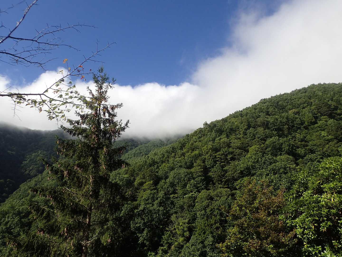 めざす山頂方面は暑い雲