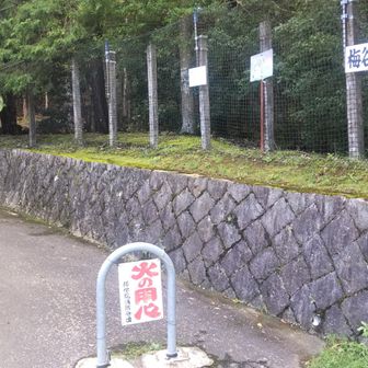 梅谷林道に入る。