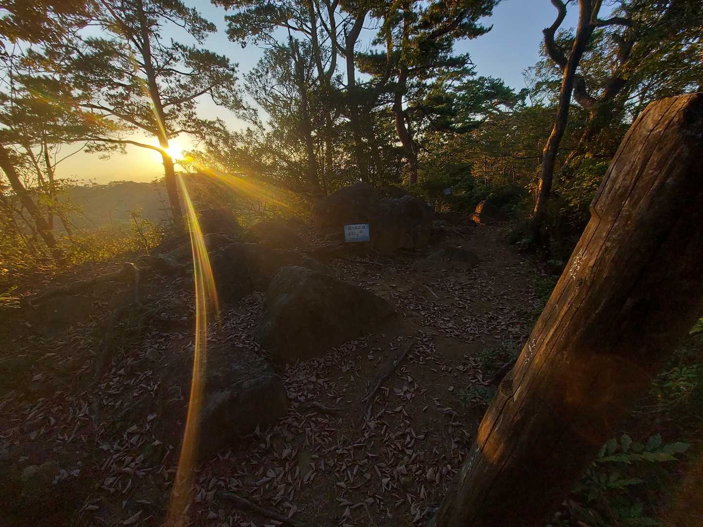 鎧ヶ岳登頂
夕日がめっちゃキレイ