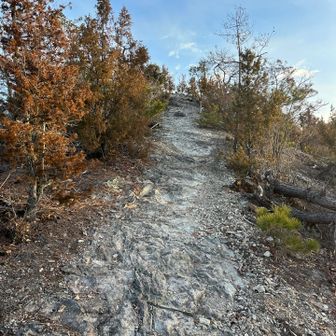 このあたりから岩道になり🪨
