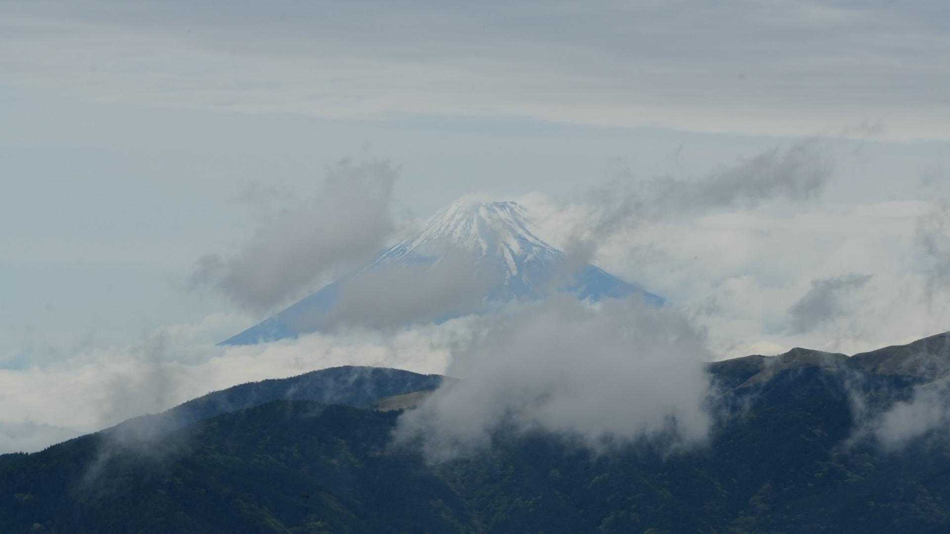八瀬峠-長九郎山 往復コースの写真