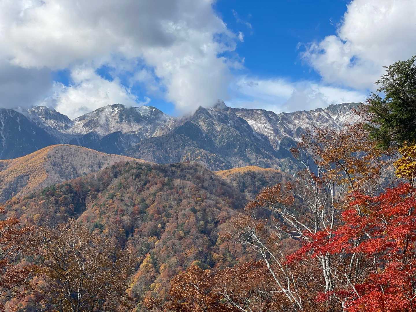 傘山登山道入口-傘山 周回コースの写真