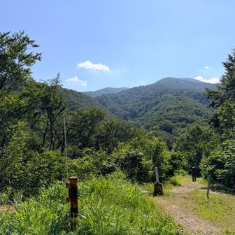 登山口