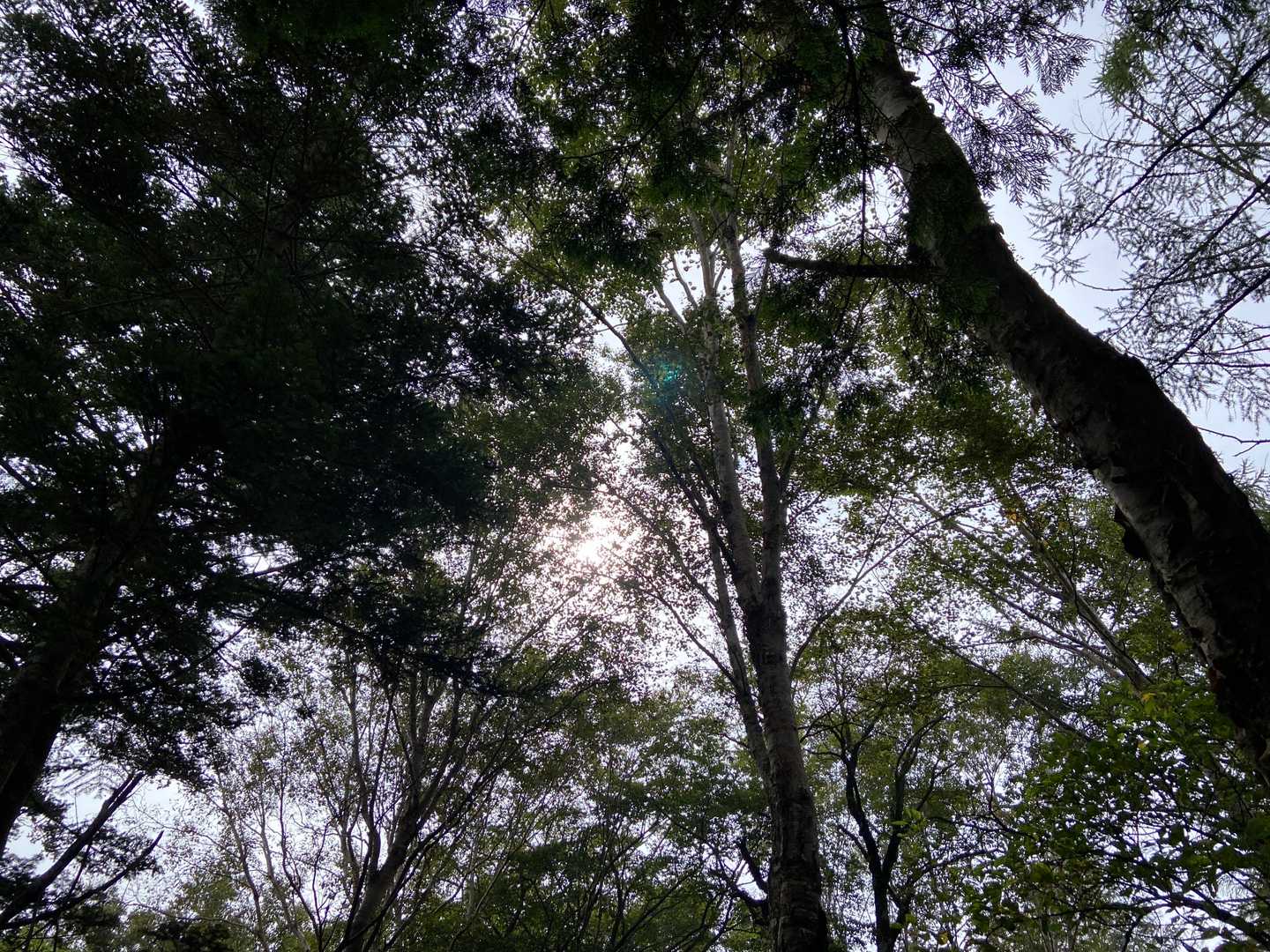 日が出てきた☀️