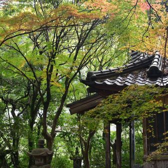 妙相寺境内の紅葉