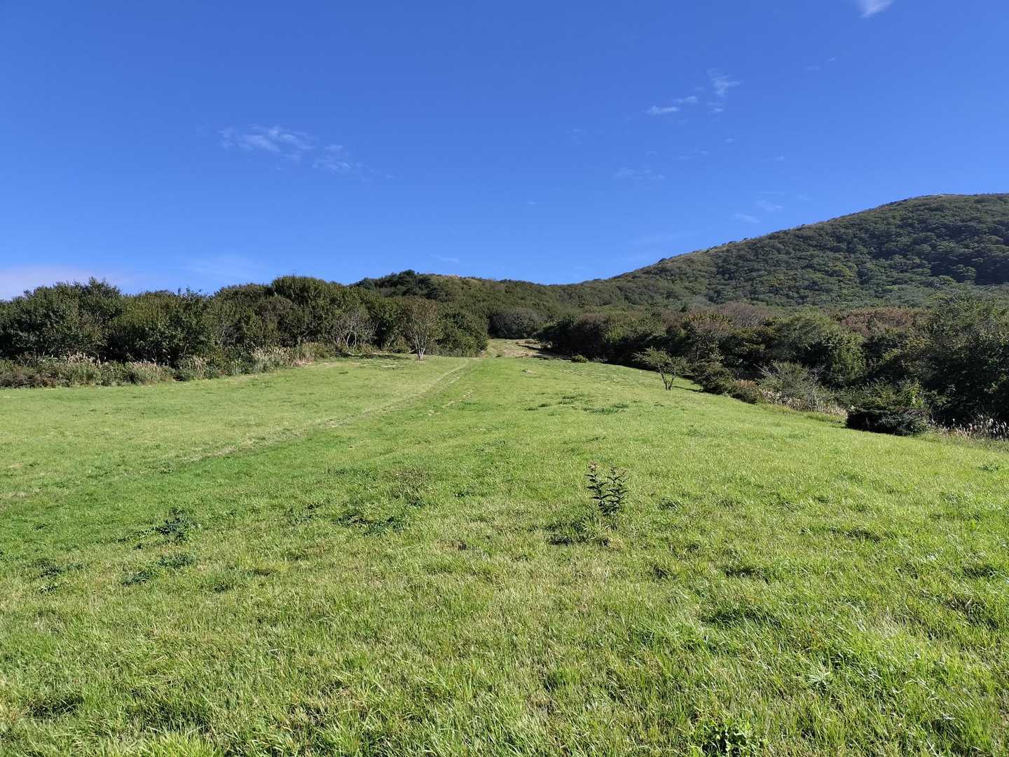 右の吾妻山に向かって丘を登ります