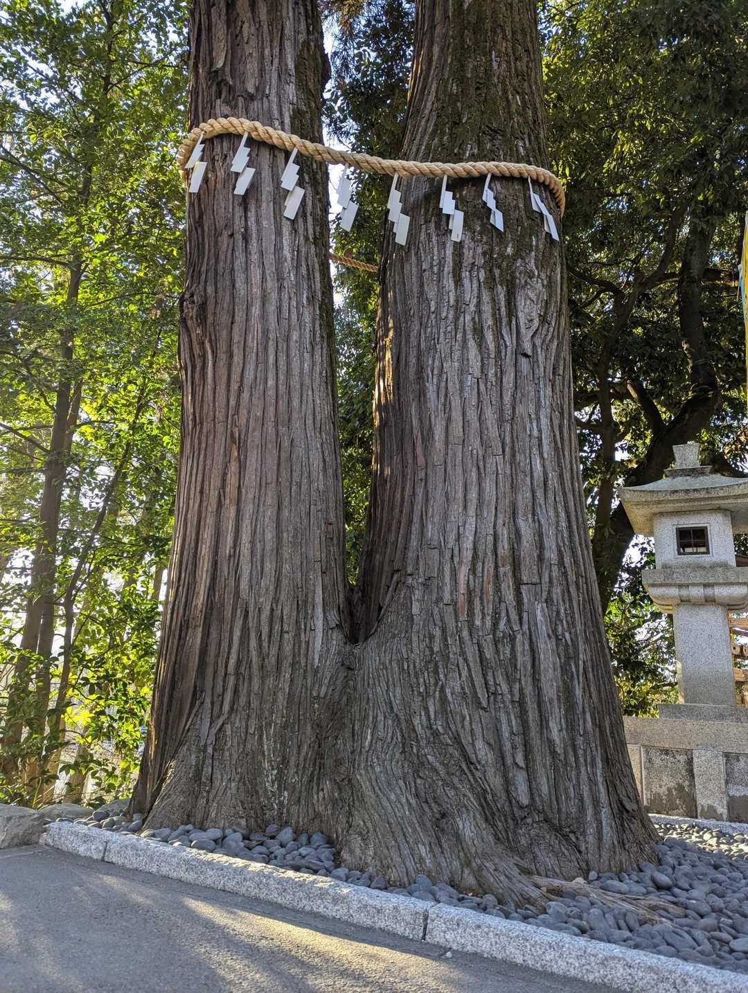 和銅製錬所跡-簑山 往復コースの写真