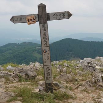 霊仙山最高点