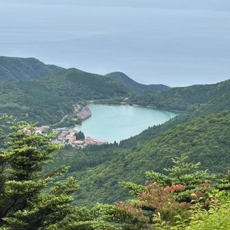 雲仙の行くべき観光地？
今流行りのﾁｬｯﾋﾟ–に聞いたら
雲仙地獄と仁田峠と教えてくれたので
仁田峠はここだから
↑写真の雲仙地獄と
道の駅ひまわりへ
道の駅ひまわりは
普賢岳の火砕流の時
"土石流被災家屋保存公園"になってる
凄いの目の当たりしてびっくり🫢
ニュースでは聞いてたけどこんな大変やったんや~