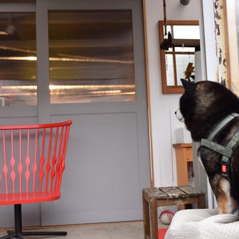 長くなりそうなので