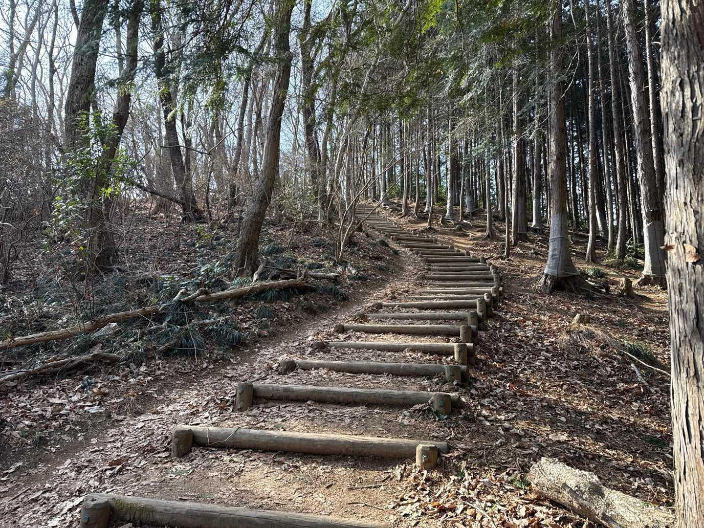 登りやすい階段