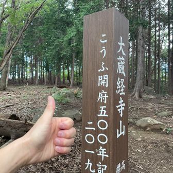 大蔵経寺山 登頂👍
甲府開府500年記念の山頂標識