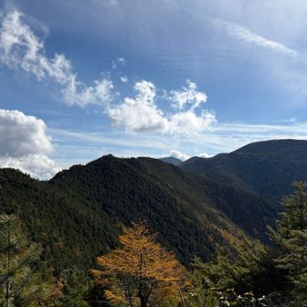 大山から、三宝山と今日通ってきた山々