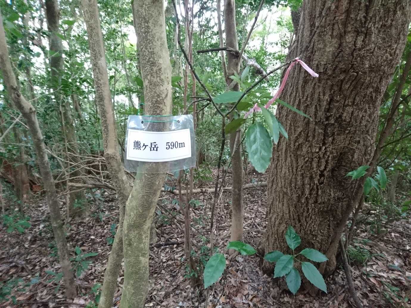 山名の由来が知りたい。