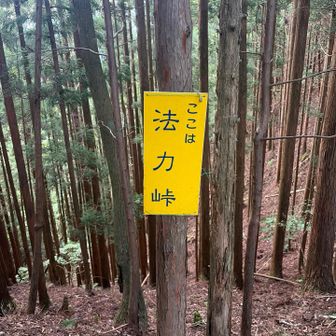 法力峠まで来ました
さすが峠、風が通る🌬️
めっちゃ涼しいぃぃ🍃
