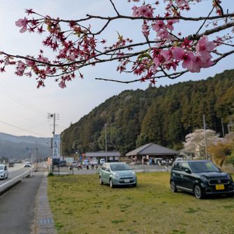 国道を1.5km程歩いて道の駅へ〜
