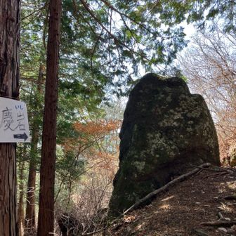 弁慶石🪨