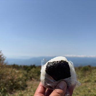 おにぎり休憩、それにしても虫がすごい。