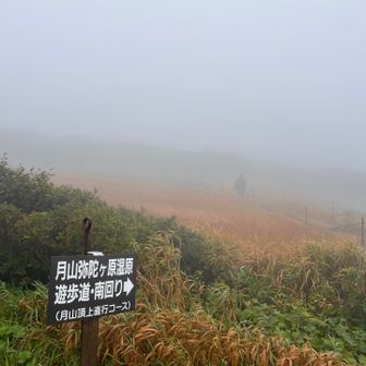 こんな登山も嫌いでは無い😊