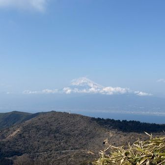 駿河湾ごしの富士山

雲がまた良い味だしてる