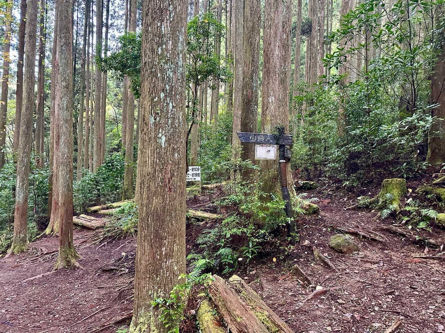 行縢山登山口-行縢山 往復コースの写真