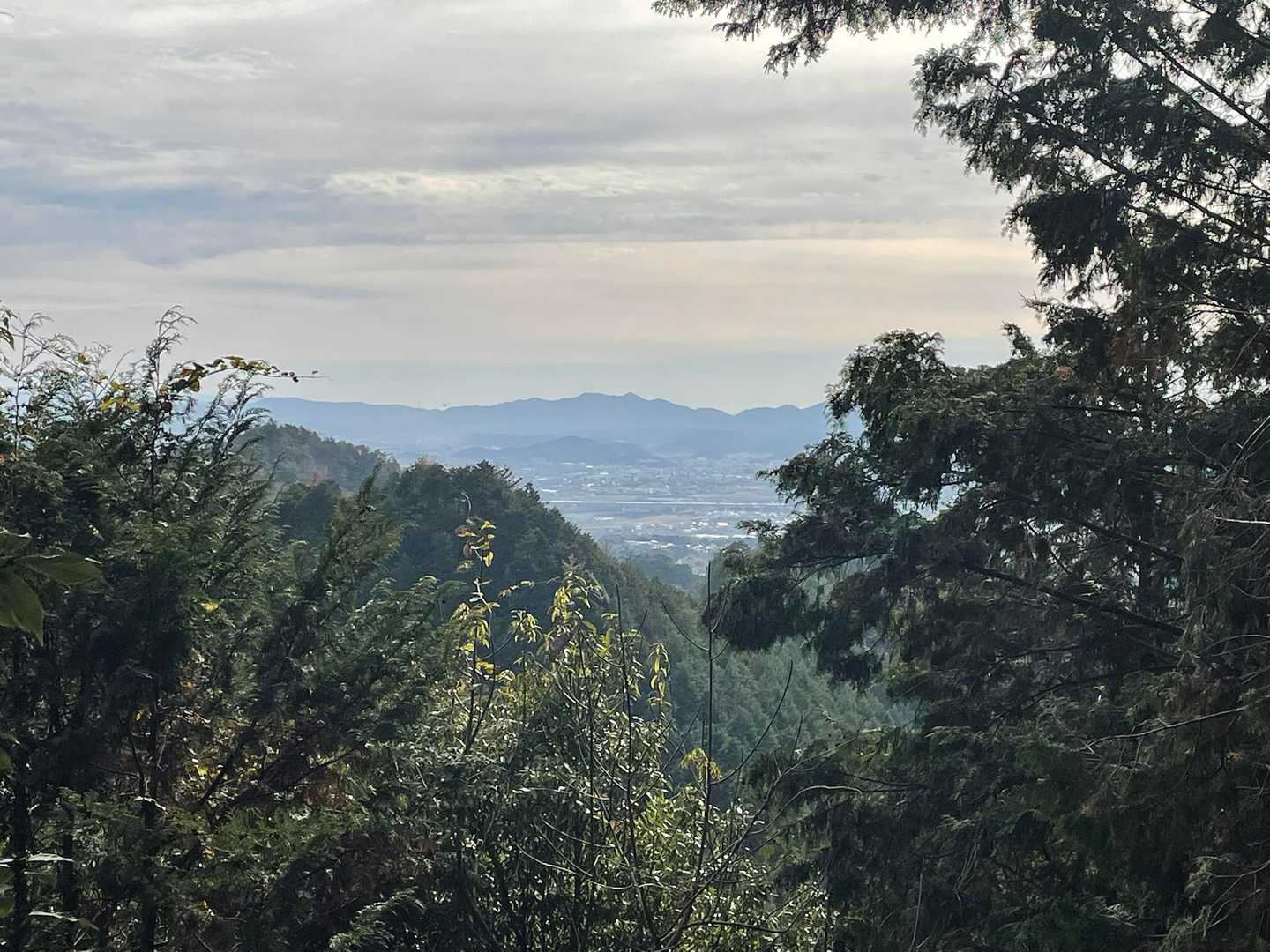 誕生山 往復コースの写真