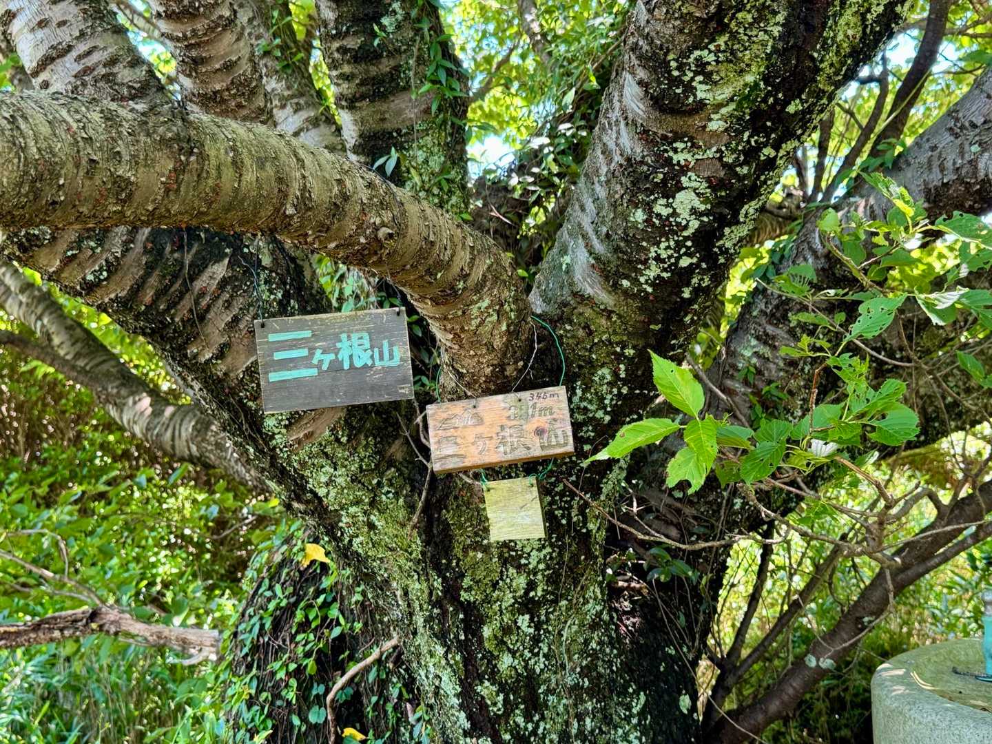 三ヶ根山最高点🙌