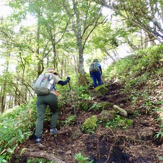 ひと登りしたら