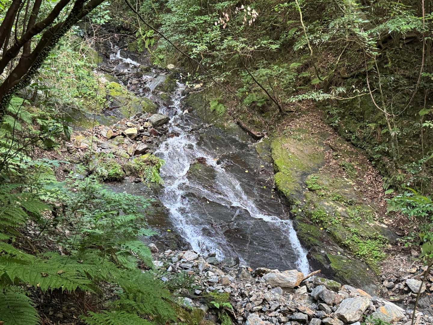 瑞梅寺登山口-洗谷登山口-井原山 周回コースの写真