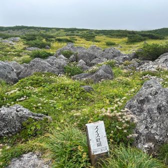 スイス庭園