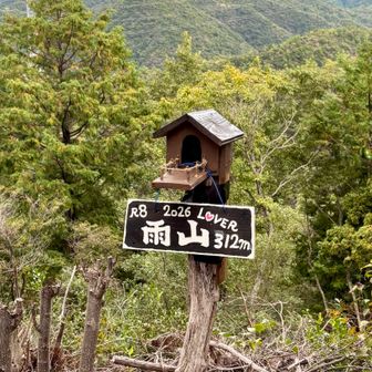 ここにもエサ場？鳥小屋？？