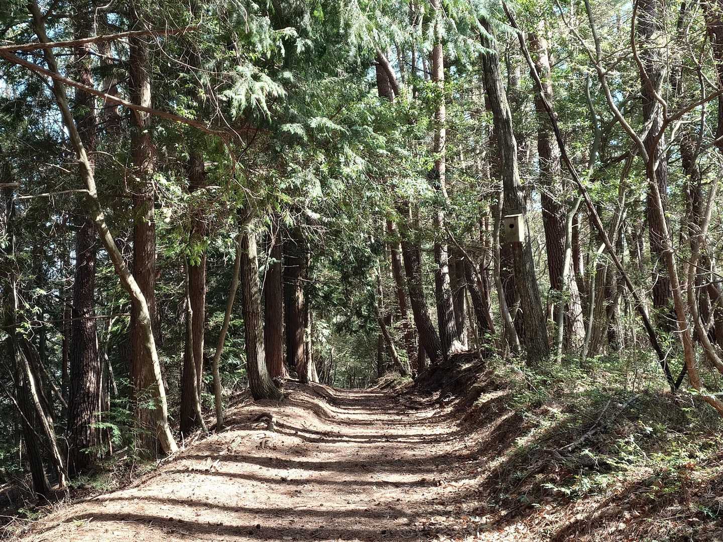 おしまい🙇