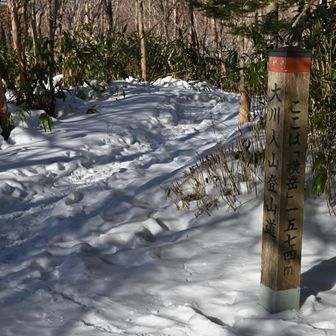 横岳到着。最初の急登区間はここまで。すでに汗だく。