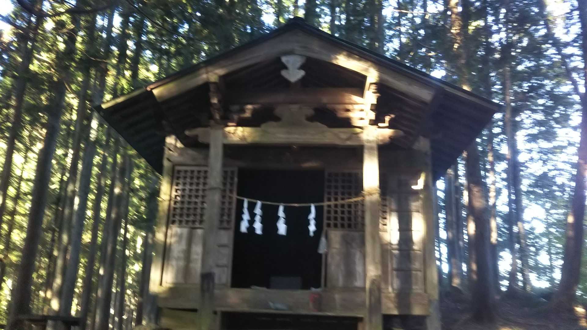 四阿屋山 往復コースの写真