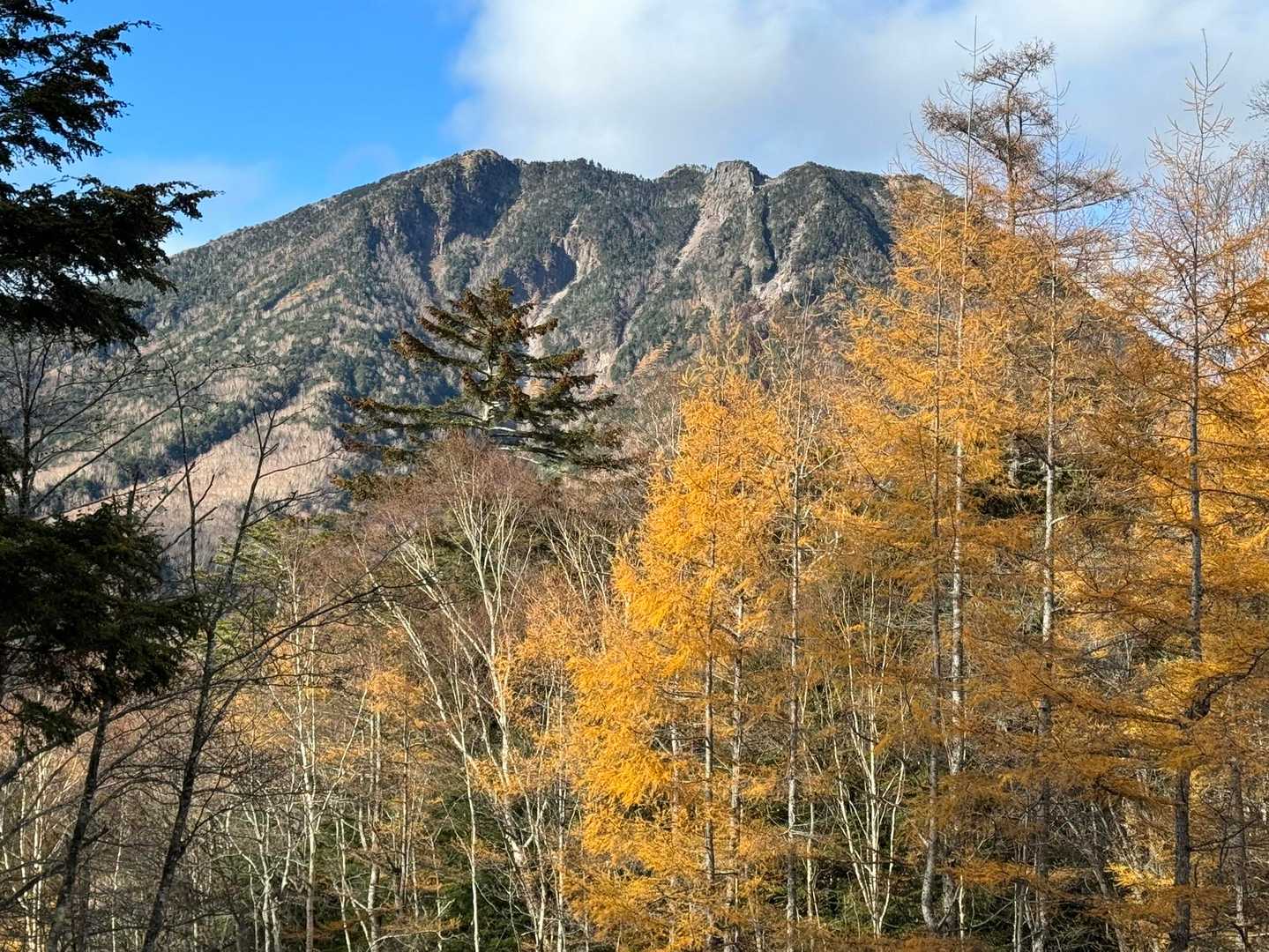 志津峠から見た、太郎山⛰️
迫力がありますね😍
