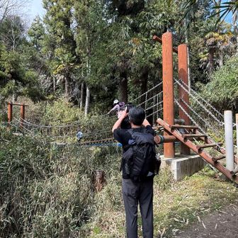 綺麗な吊り橋。
渡らなくてもいいので、私はスルーしたけど💦