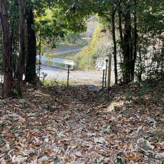 おつかれ山でしたー。