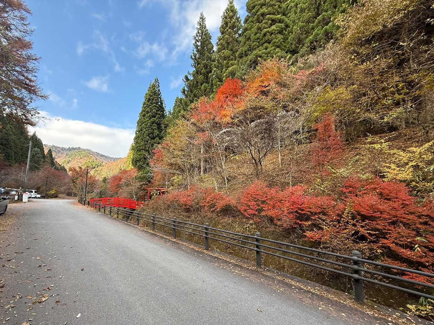 紅葉きれい
