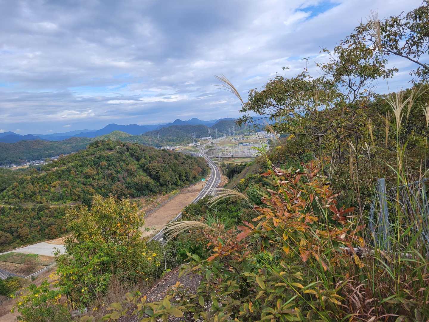 この後、初登山者と枯れ木を倒している(多分整備)をしている方とすれ違いました😁