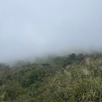 もうすぐ山頂。ガスガス発生