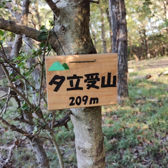 夕立受山山頂