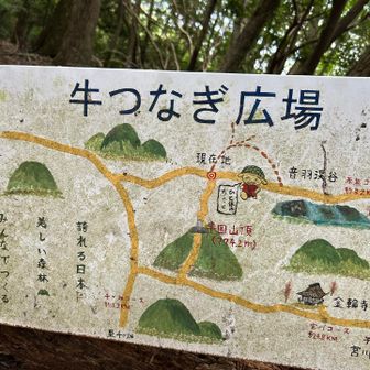 尾根に出た。
牛つなぎ広場。
名前の由来は不明。