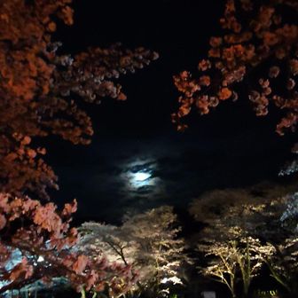 ダム広場からの満月🌕️