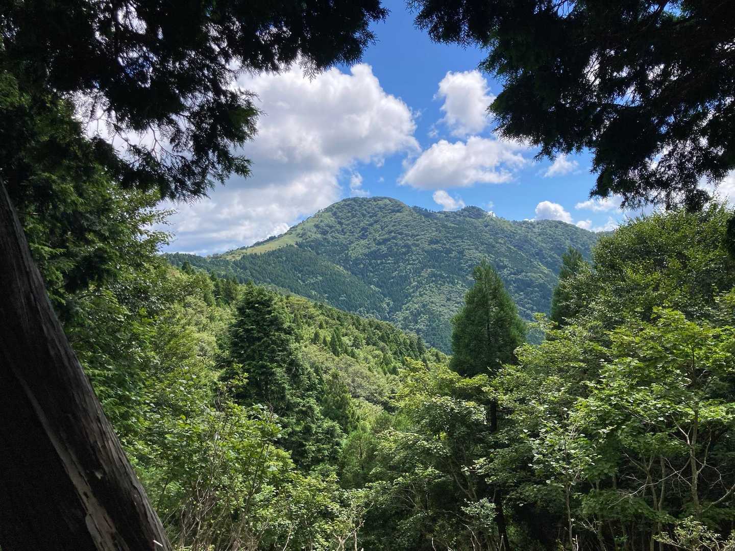 これから登る三室山のてっぺん