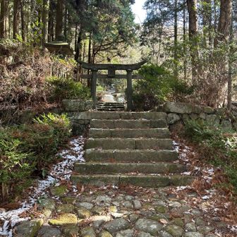お寺なのに鳥居⛩️神仏習合ならでは