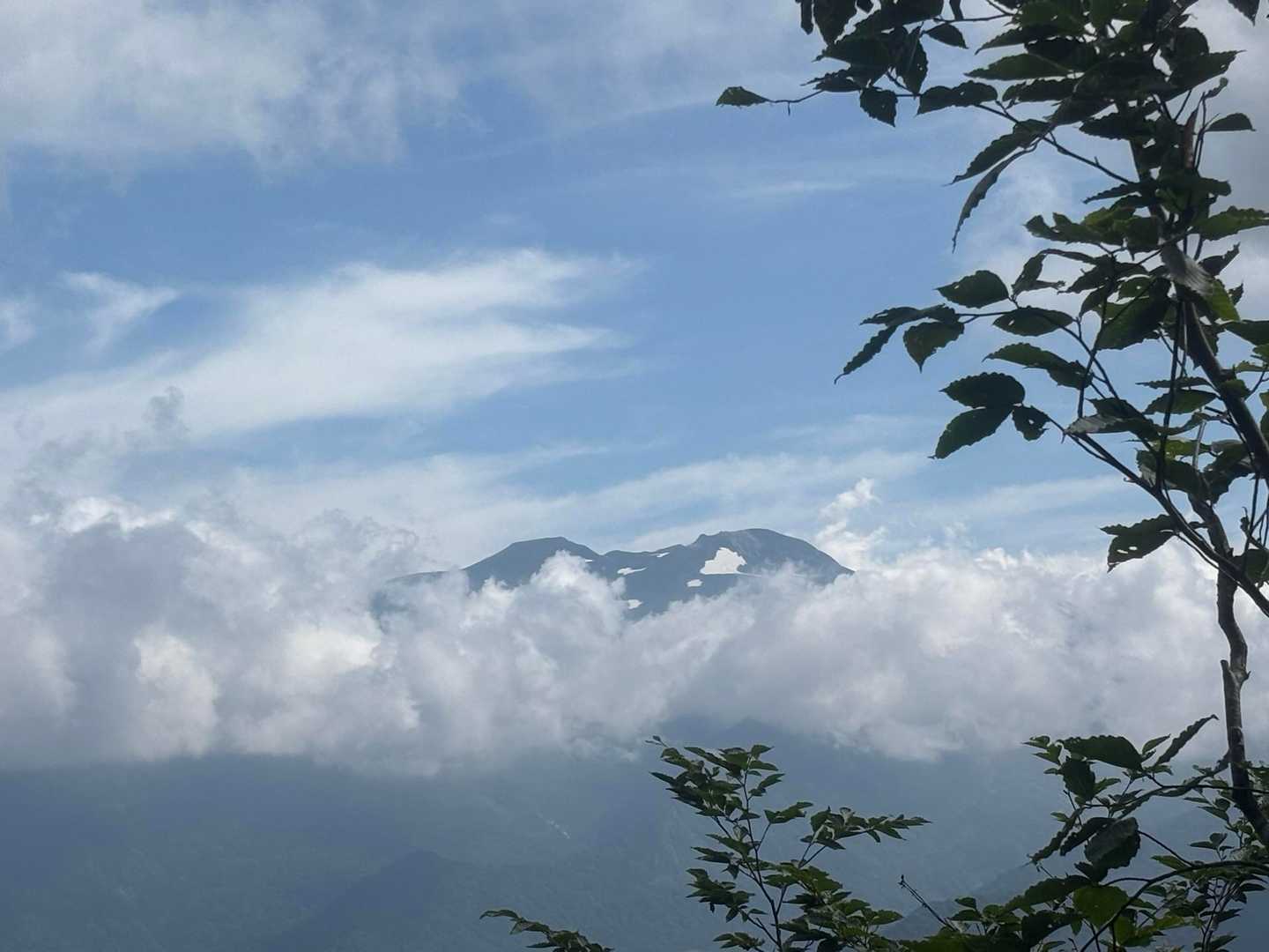 チラッと🤩