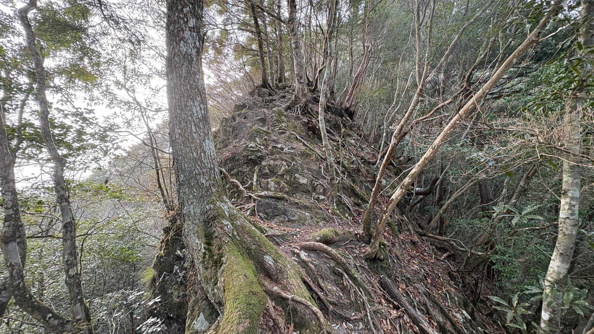 登りより下り怖い痩せ尾根